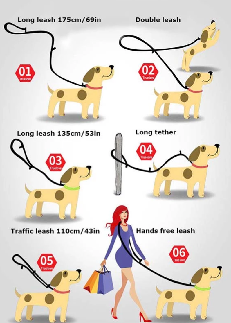 7-in-1 Hundeleine mit 3M Reflexion True Love for Dogs