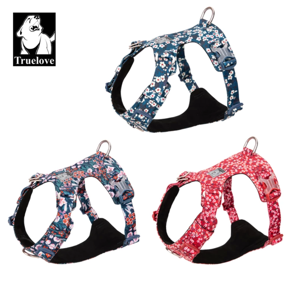 Premium Hundegeschirr "POPPY RED" Flower Spring 2