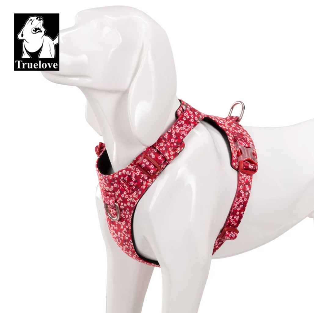 Premium Hundegeschirr "POPPY RED" Flower Spring 2