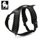 Sportliches Hundegeschirr mit 3M Reflexion True Love for Dogs