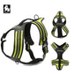 Sportliches Hundegeschirr mit 3M Reflexion True Love for Dogs