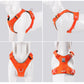 Ultraleichtes Hundegeschirr Cordura True Love for Dogs Hundegeschirr_Wanderung  Hundegeschirr_sicher  Hundegeschirr_Reiten  Hundegeschirr_reflektierend  Hundegeschirr_günstig  Hundegeschirr_bestseller  Hundegeschirr_Autofahrt  Hundegeschirr_3m_reflektiert  funktional_dog_harness  dog_harness_bestselling  dog_harness  3M_reflektion