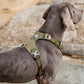Ultraleichtes Hundegeschirr Cordura True Love for Dogs Hundegeschirr_Wanderung  Hundegeschirr_sicher  Hundegeschirr_Reiten  Hundegeschirr_reflektierend  Hundegeschirr_günstig  Hundegeschirr_bestseller  Hundegeschirr_Autofahrt  Hundegeschirr_3m_reflektiert  funktional_dog_harness  dog_harness_bestselling  dog_harness  3M_reflektion