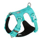 Ultraleichtes Hundegeschirr Cordura True Love for Dogs Hundegeschirr_Wanderung  Hundegeschirr_sicher  Hundegeschirr_Reiten  Hundegeschirr_reflektierend  Hundegeschirr_günstig  Hundegeschirr_bestseller  Hundegeschirr_Autofahrt  Hundegeschirr_3m_reflektiert  funktional_dog_harness  dog_harness_bestselling  dog_harness  3M_reflektion