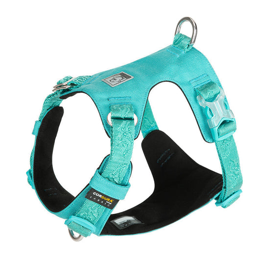 Ultraleichtes Hundegeschirr Cordura True Love for Dogs Hundegeschirr_Wanderung  Hundegeschirr_sicher  Hundegeschirr_Reiten  Hundegeschirr_reflektierend  Hundegeschirr_günstig  Hundegeschirr_bestseller  Hundegeschirr_Autofahrt  Hundegeschirr_3m_reflektiert  funktional_dog_harness  dog_harness_bestselling  dog_harness  3M_reflektion