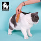 Slicker & Hundekamm (2er Set) Katze