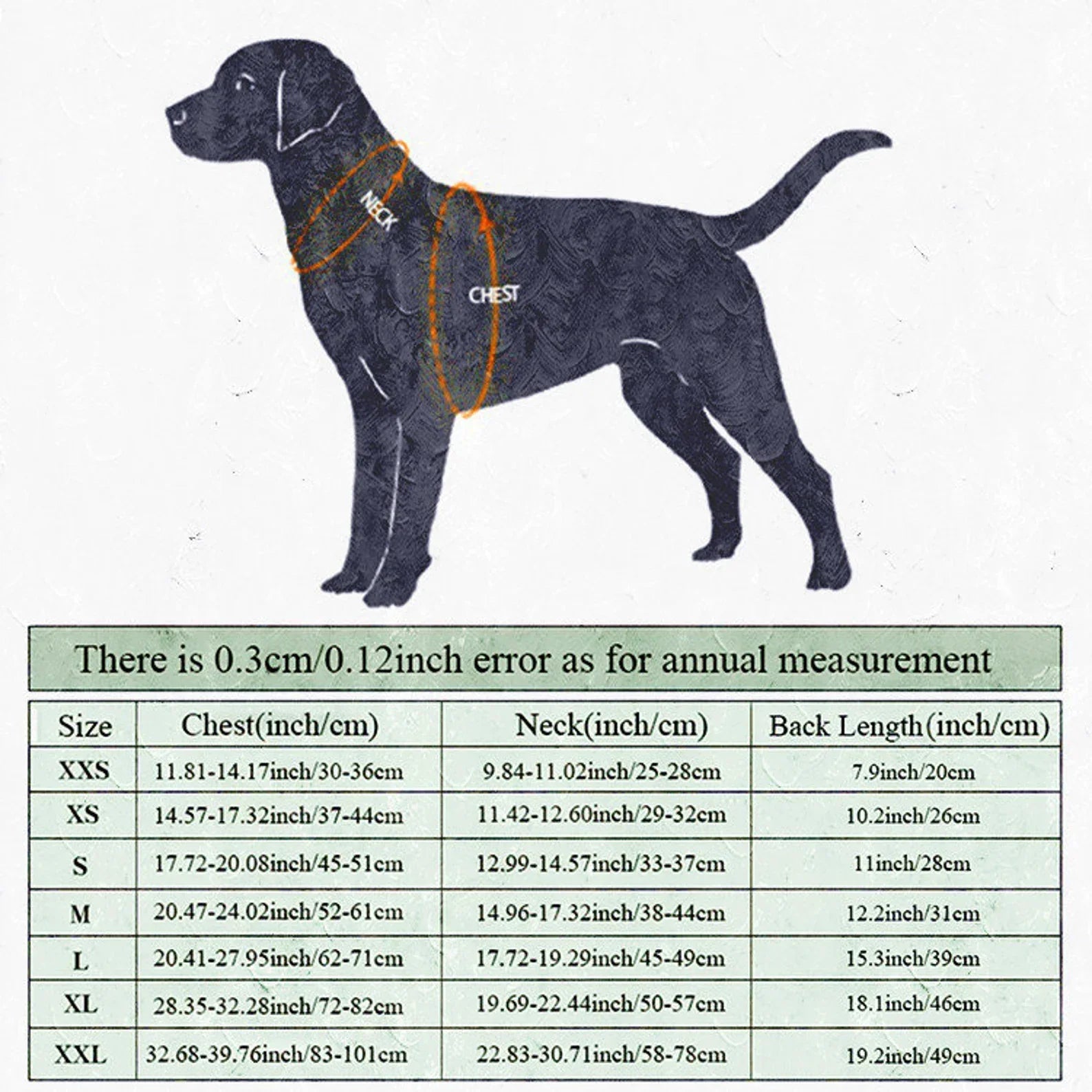 kuehlende Hundeweste Hund trägt kühlende Weste für den Sommer – atmungsaktiv, leicht & verstellbar für optimalen Schutz vor Hitze