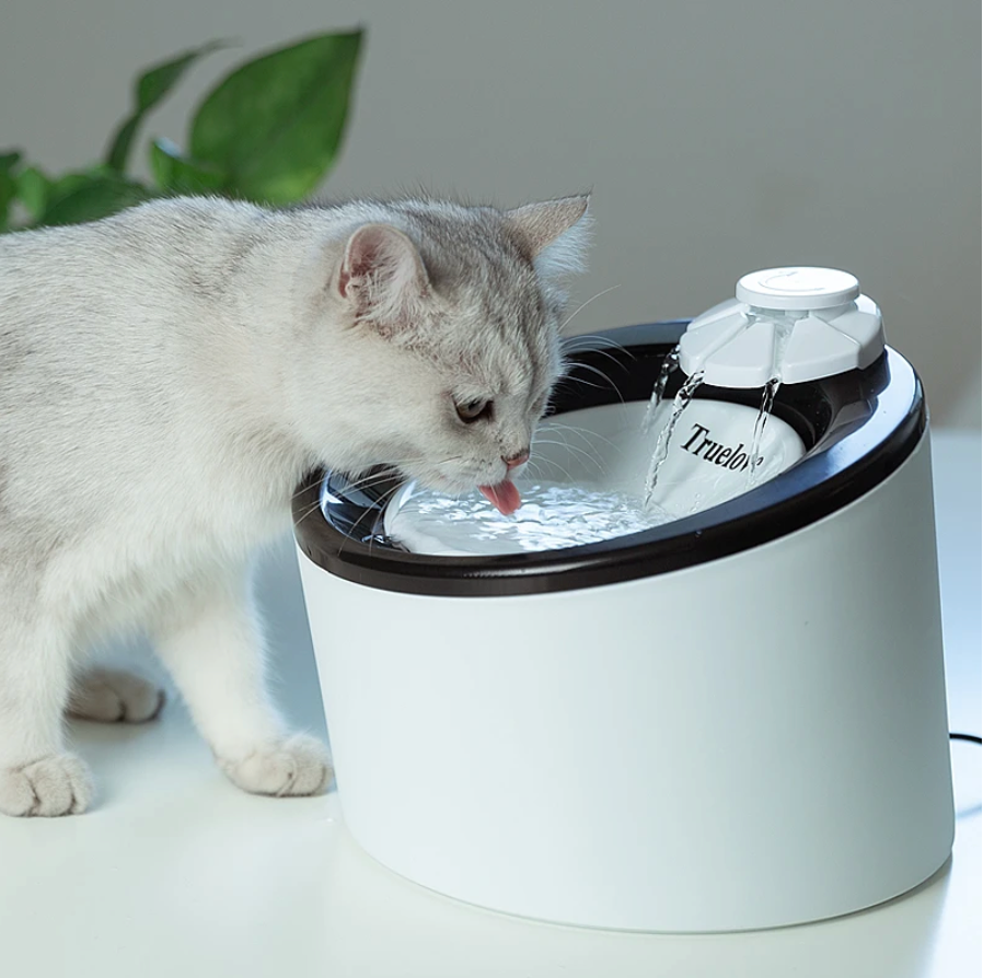 Automatischer Haustier Wasserspender Hunde Katzen